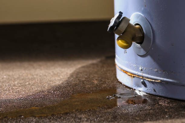 Best Water damage cleanup near me  in Elk Creek, KY