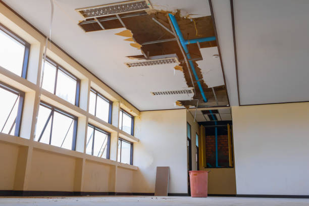 Best Water damage restoration specialists  in Elk Creek, KY