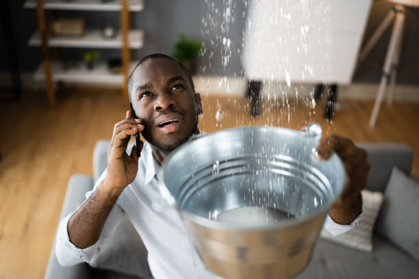 Best Water damage repair service  in Elk Creek, KY