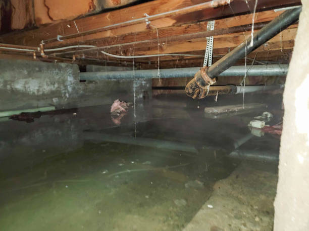 Best Emergency water damage restoration  in Elk Creek, KY