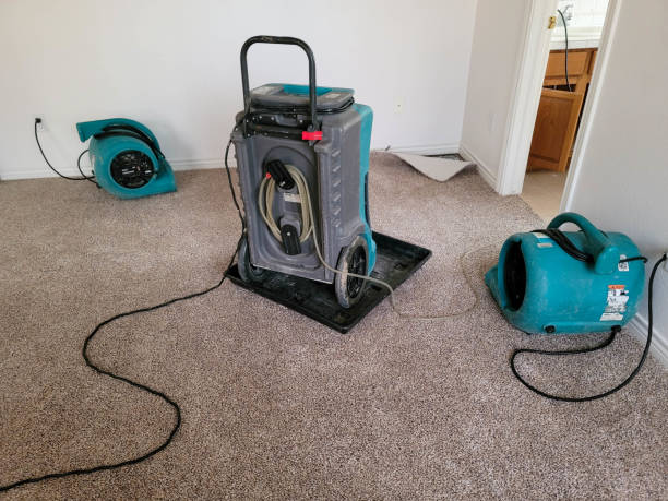 Best Water damage restoration insurance claims  in Elk Creek, KY