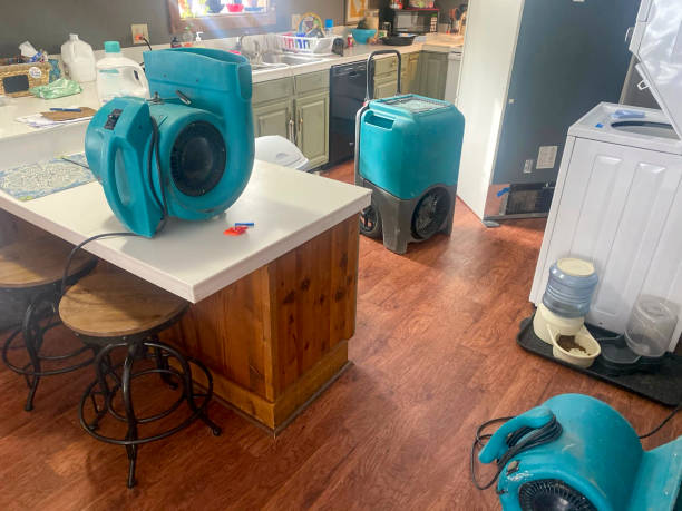 Best Commercial water damage restoration  in Elk Creek, KY
