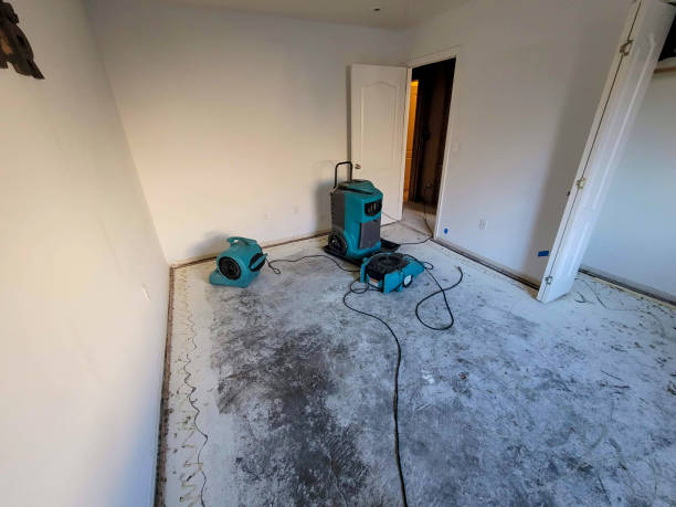 Best Flood damage cleanup  in Elk Creek, KY