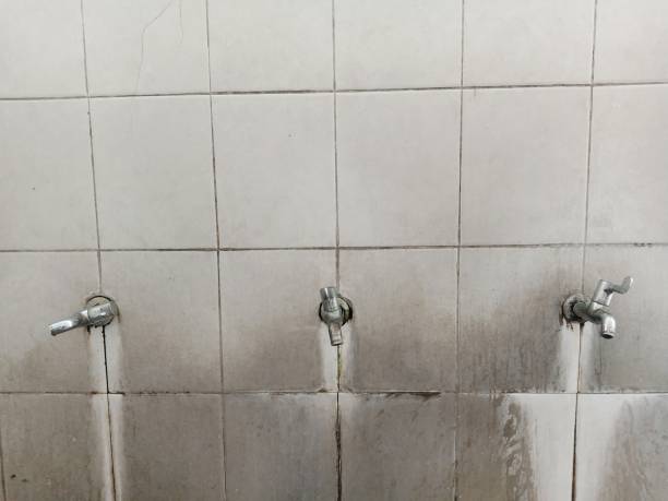 Best Carpet water damage restoration  in Elk Creek, KY